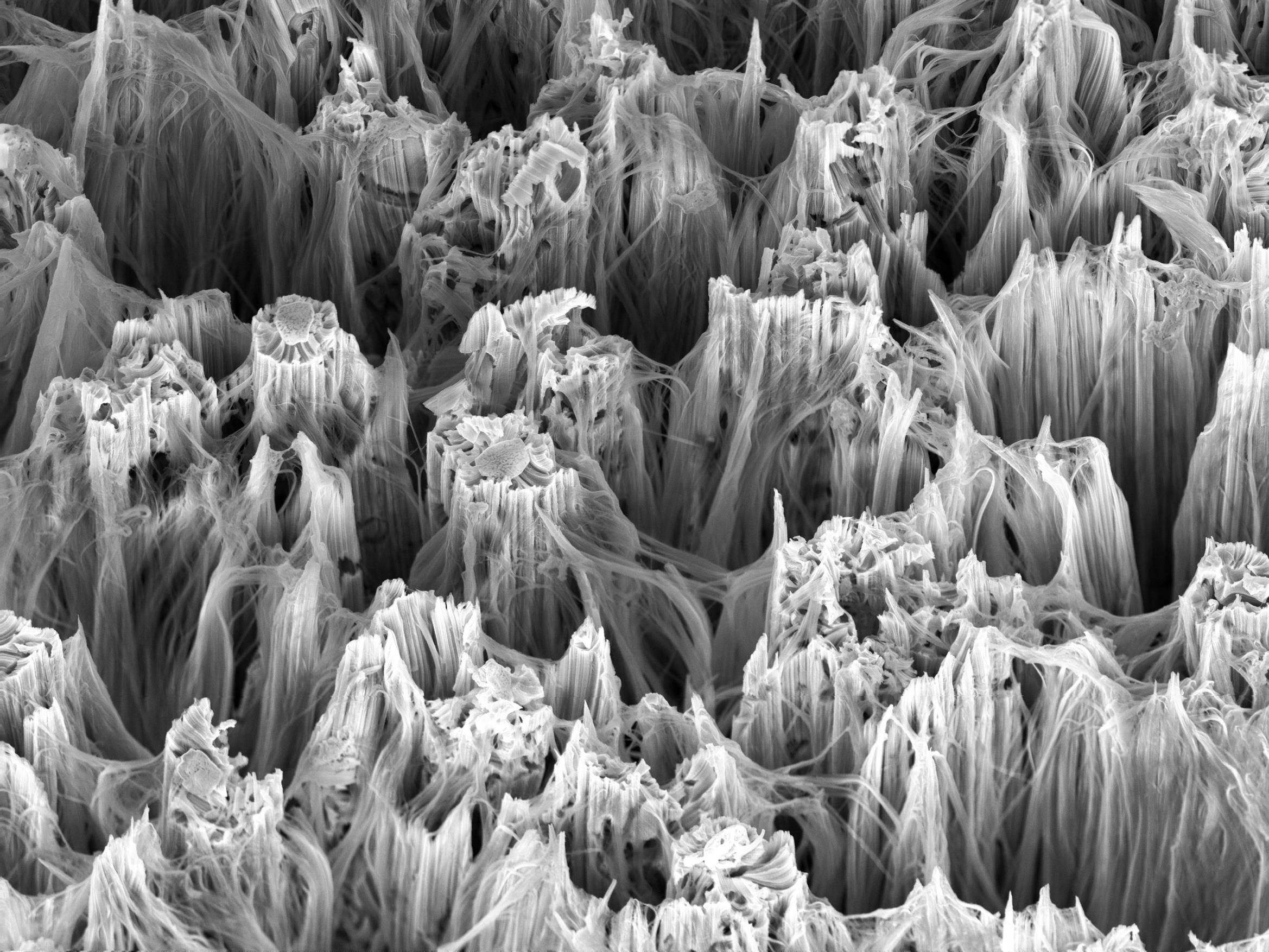 Harrick Plasma 用於 AFM sample preparation 與奈米表面分析前處理