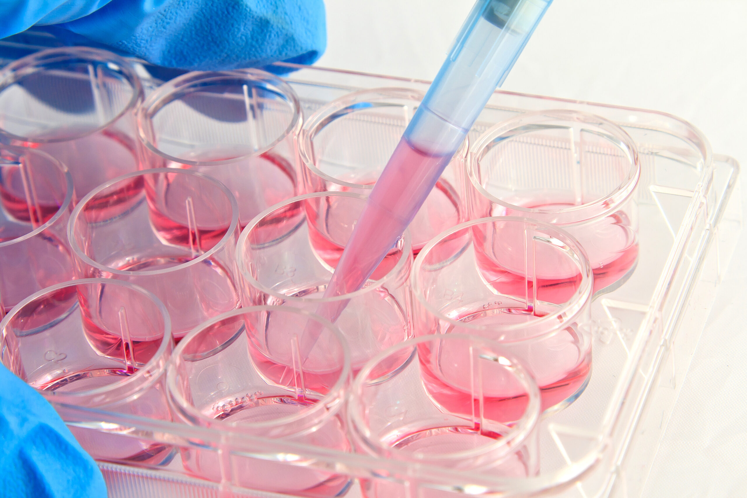 Harrick Plasma 用於 microfluidic cell culture 與細胞培養基板前處理