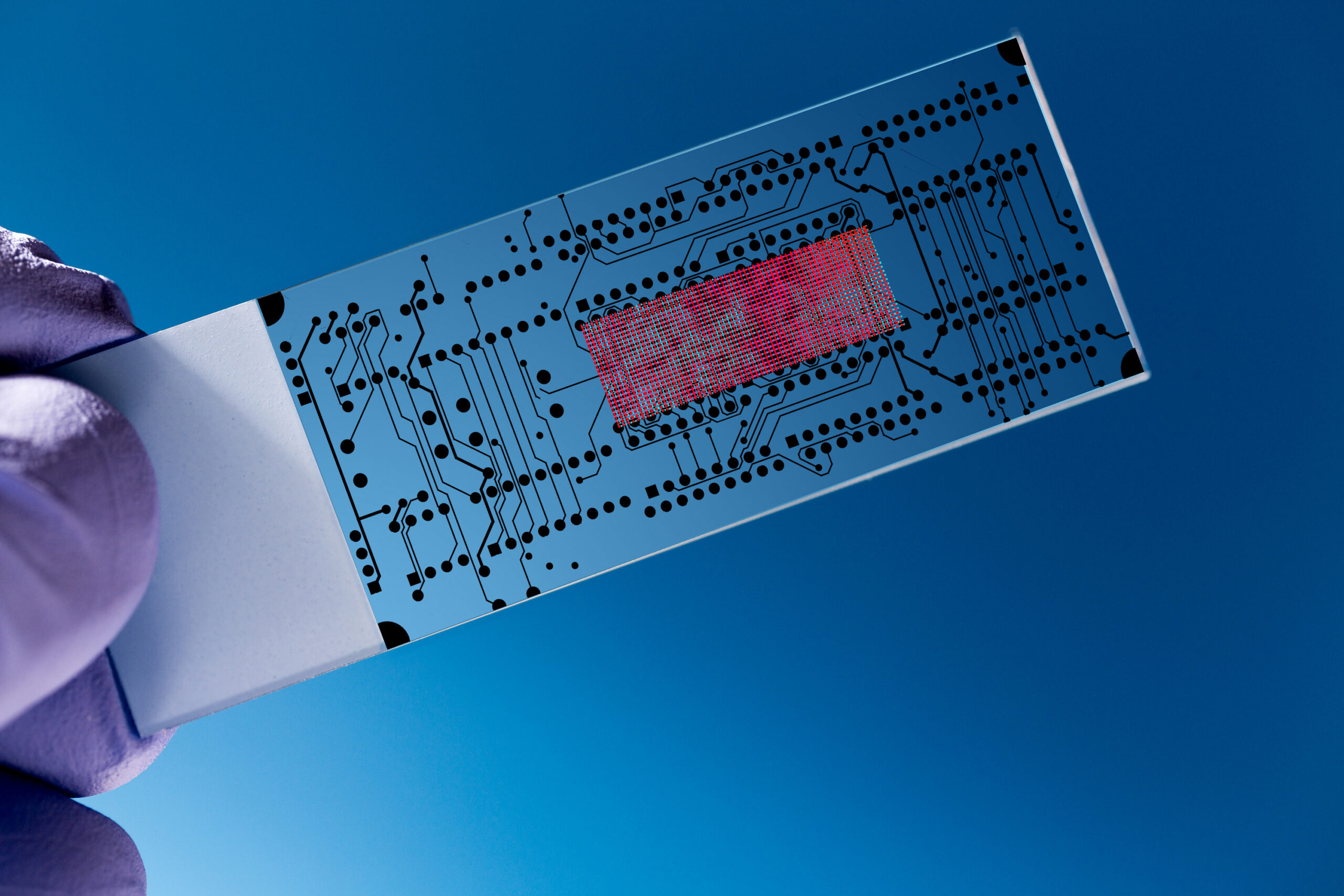 Harrick Plasma 用於 contact printing 接觸式印刷