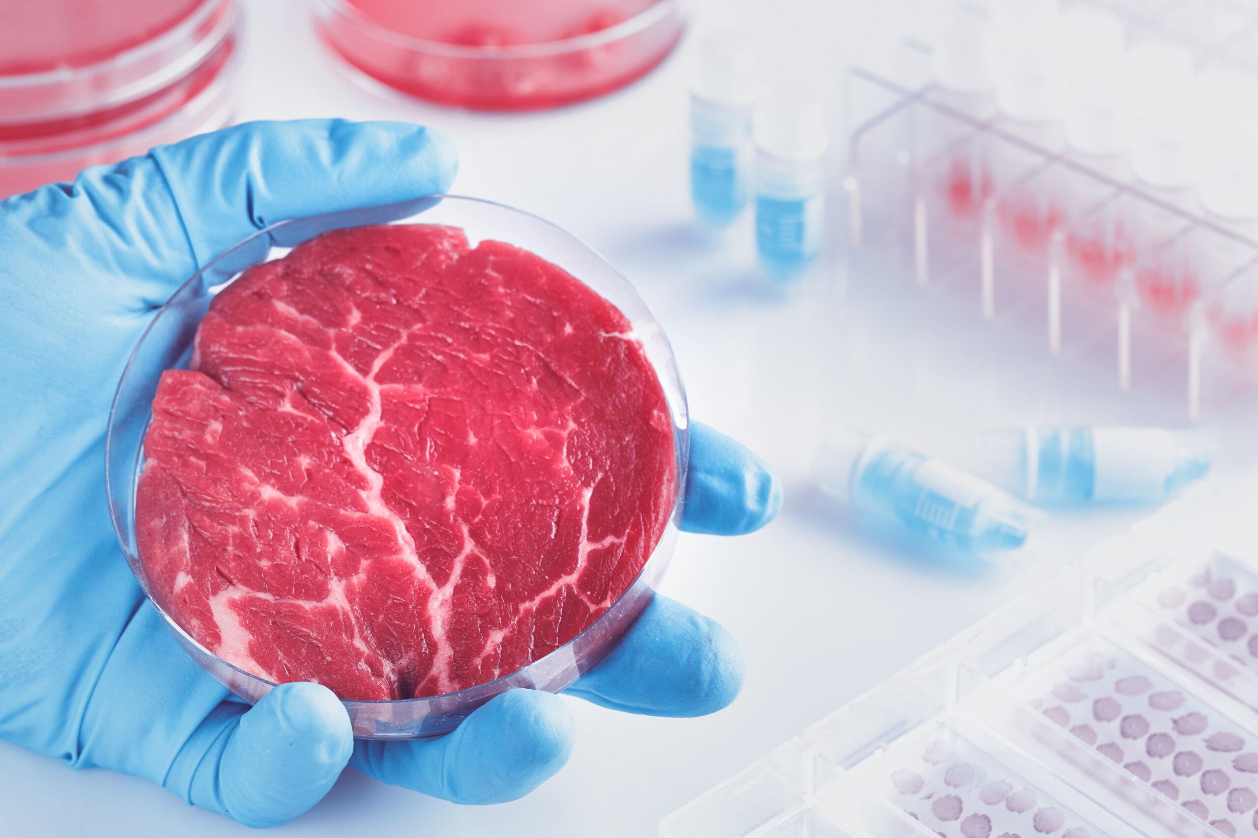 Harrick Plasma 用於 food science 食品科學與包材表面清潔